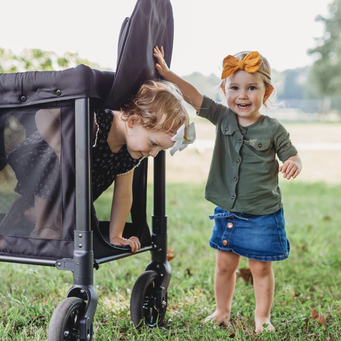 W2 Original Stroller Wagon