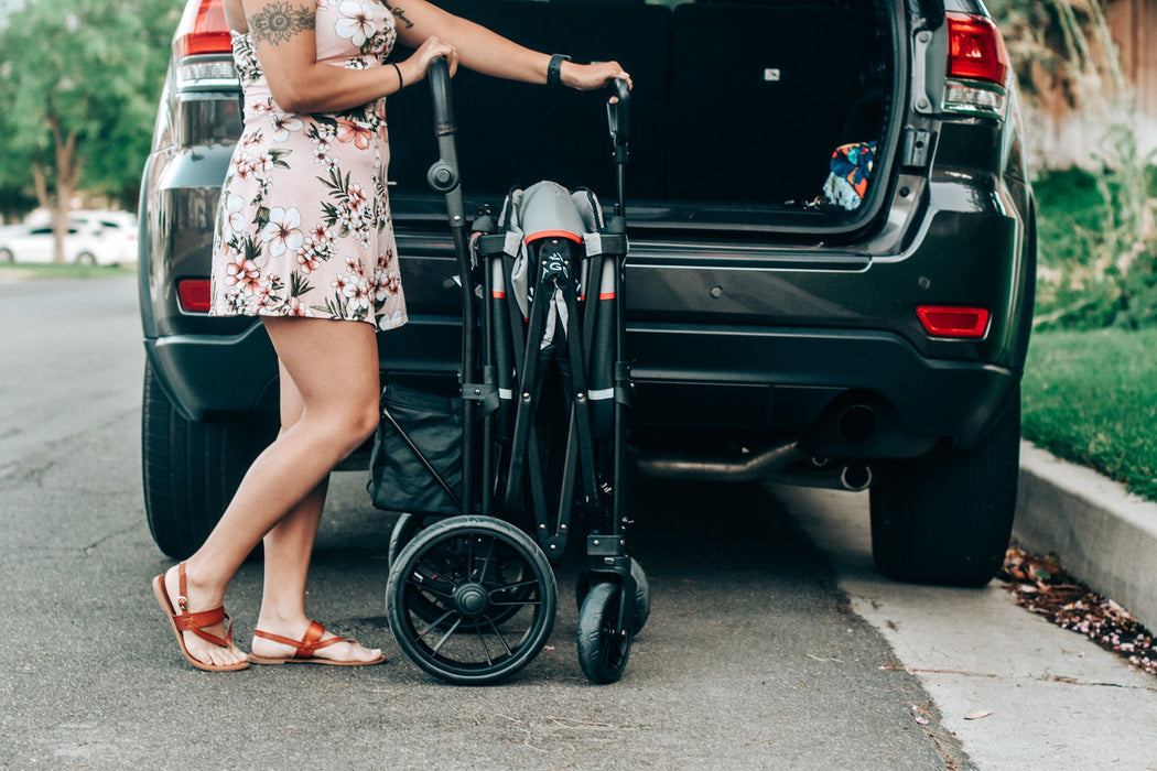 X2 Push + Pull Stroller Wagon