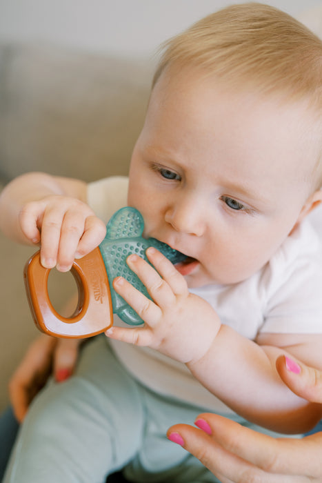 Dr Brown's AquaCool Water-filled HousePlant Teether