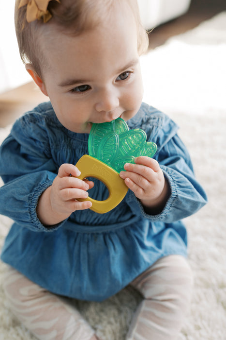 Dr Brown's AquaCool Water-filled HousePlant Teether