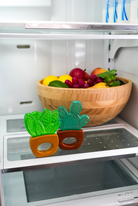 Dr Brown's AquaCool Water-filled HousePlant Teether