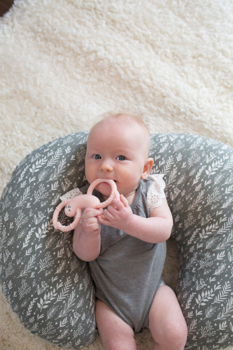 Dr Brown's Flexees Sloth Teether - Pink