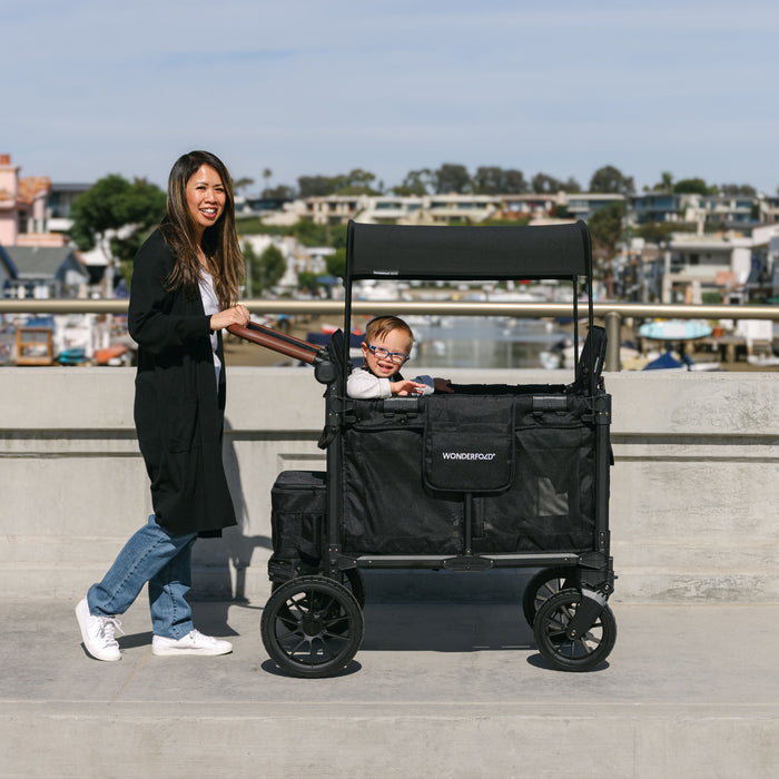 W2 Luxe Pro Double Stroller Wagon
