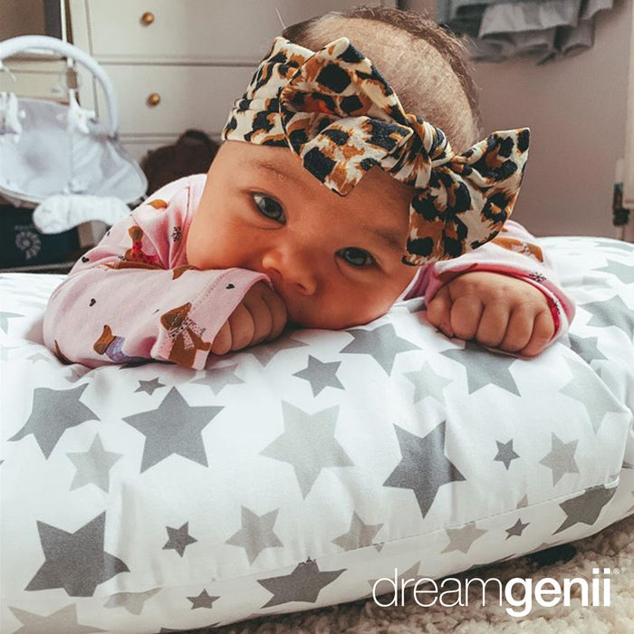 Dreamgenii nursing pillow 2025
